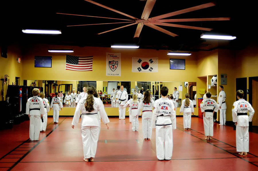 Columbia MO Premier Martial Arts Training Center Hockmans ATA