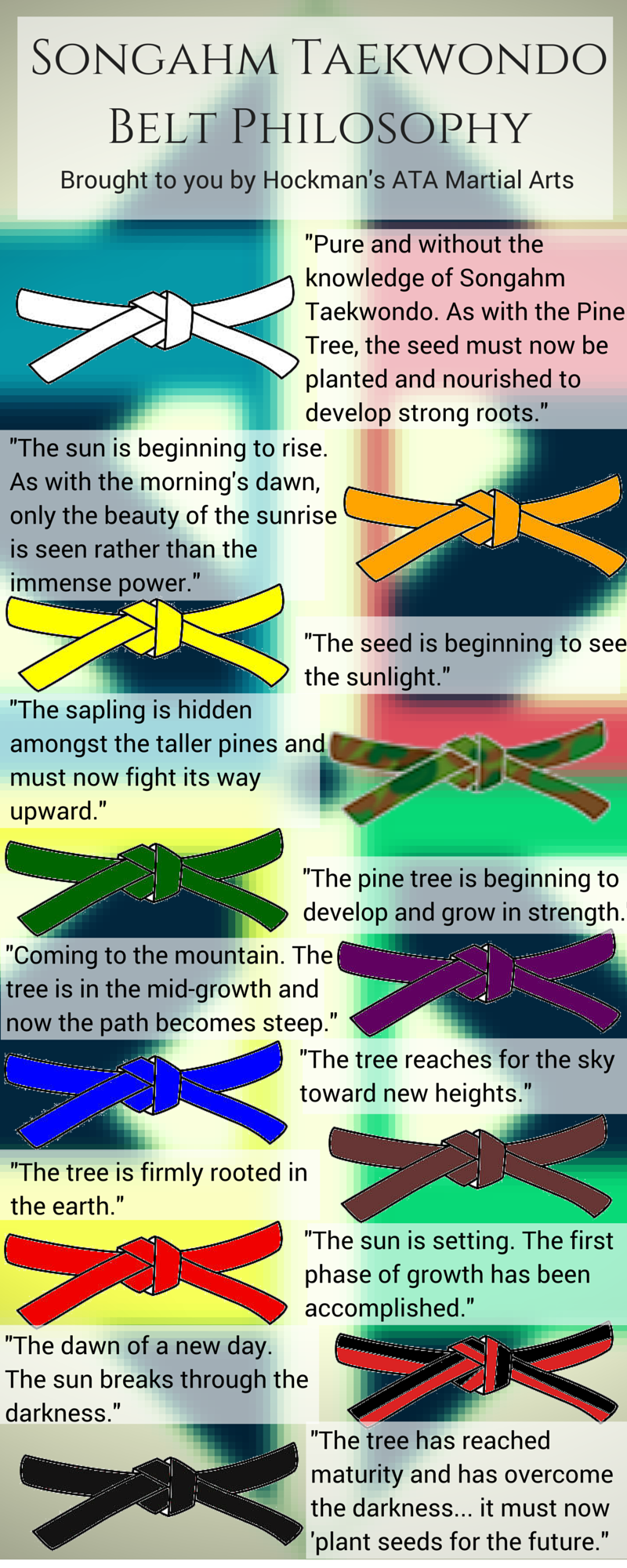 Belt Infographic Hockmans ATA